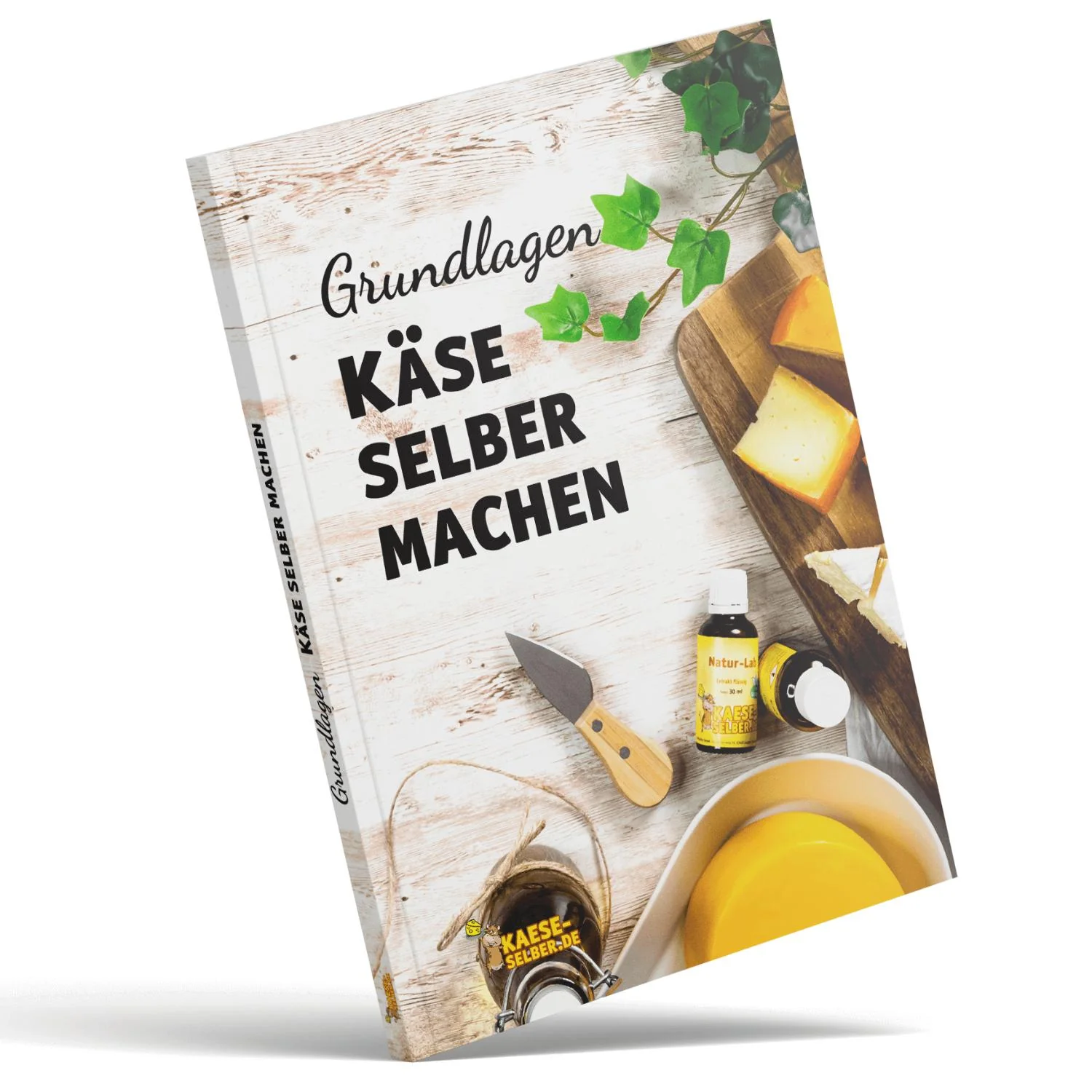Vorschaubild 1